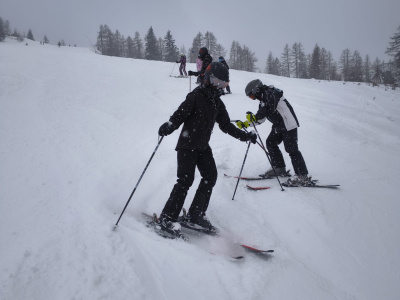 3fe06311-88f7-49d5-af55-fed457e68664