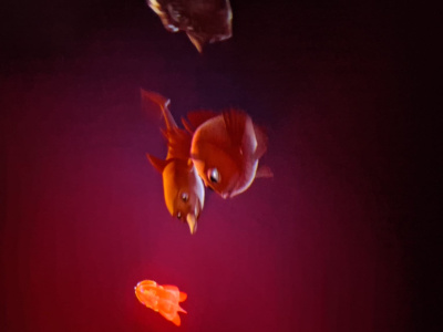 60E55A2B-FC8B-4099-9101-CBBA4DA66112