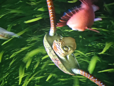 B39C94F6-CF8D-43CF-9920-7A5E53815A75