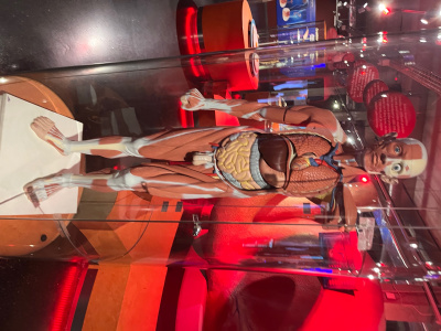 31FA9902-1EB2-4936-BDD3-09AB426924A1