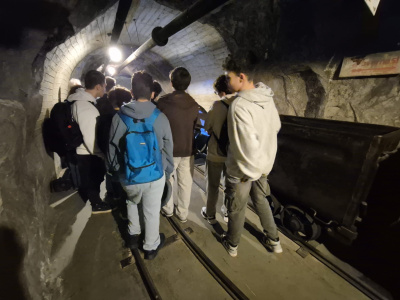 5e077335-904e-48c4-8048-d95dd6c6b617