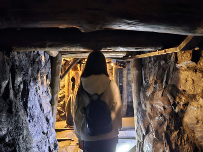 bda03998-268a-4bd4-a385-68054b7e366f