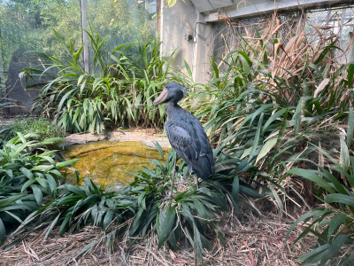 IMG_1630