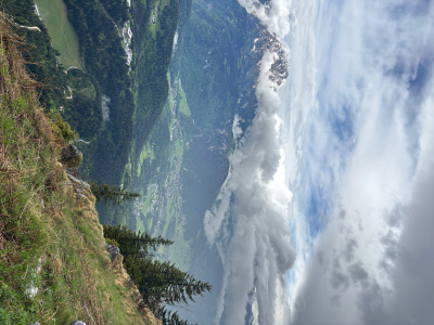 IMG_5931
