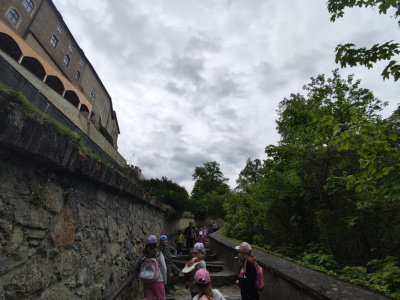 IMG-20260520-WA0014