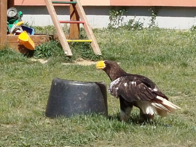 IMG-20260526-WA0014