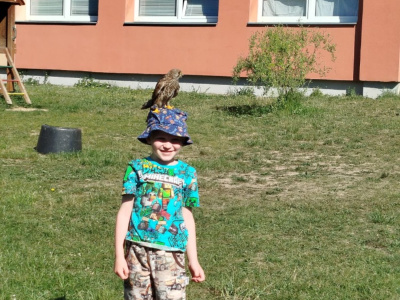 IMG-20260526-WA0020