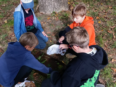 IMG_5150