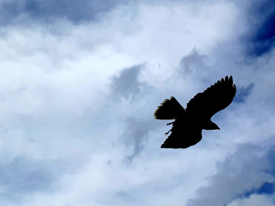 9C9922A0-2012-455D-B8FF-68BAA675B847
