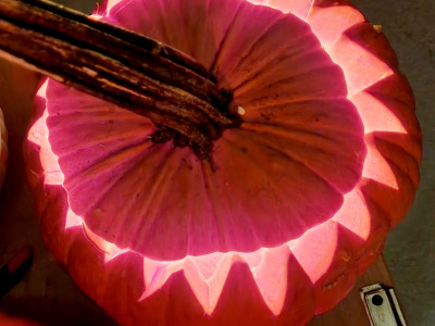 19