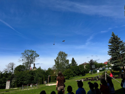 Sokolník na 1. stupni
