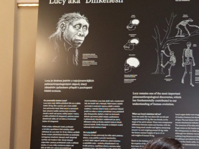 5344AFA2-FD9F-4CD1-B0A2-F75A8482F1DE