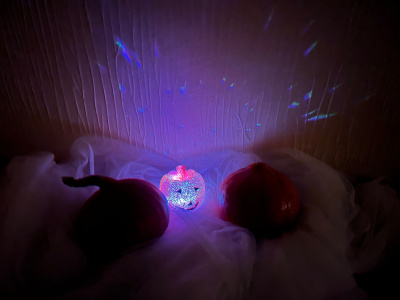 E9547BEE-17B3-4195-AE08-178BEF66E9B3