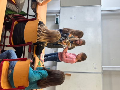 00FE8A1A-DBC5-4563-8D92-7CA7AF04CCDF