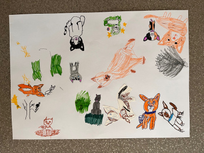 56D7AB80-8D1E-4E8F-B6C5-9B719964D681